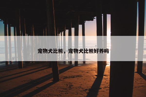 宠物犬比熊，宠物犬比熊好养吗