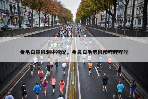 金毛白鼻鼠洞中欲配，金鼻白毛老鼠精哔哩哔哩