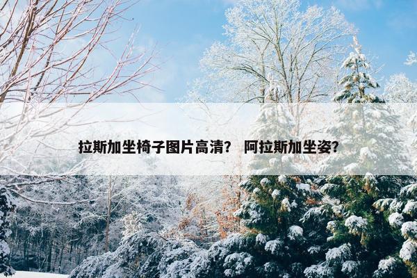 拉斯加坐椅子图片高清？ 阿拉斯加坐姿？