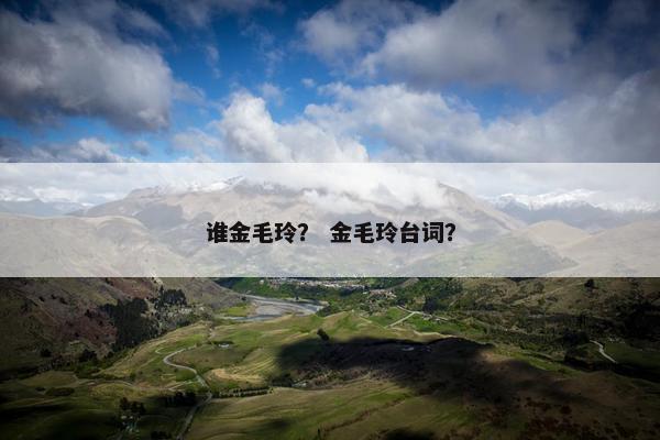 谁金毛玲？ 金毛玲台词？