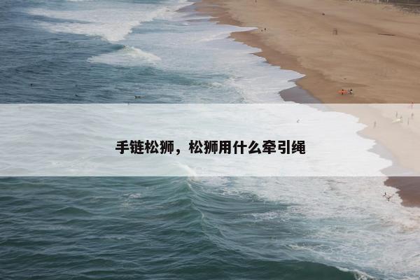 手链松狮，松狮用什么牵引绳