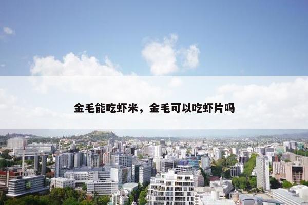 金毛能吃虾米，金毛可以吃虾片吗