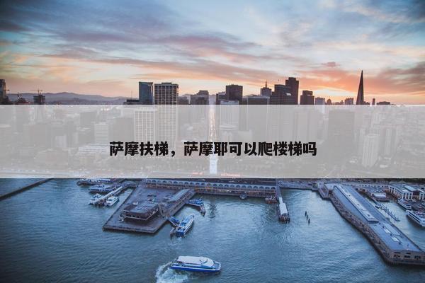 萨摩扶梯，萨摩耶可以爬楼梯吗