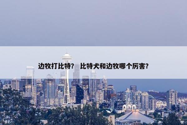 边牧打比特？ 比特犬和边牧哪个厉害？
