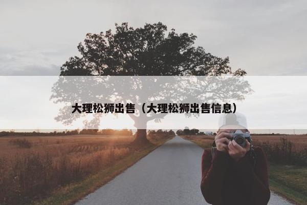 大理松狮出售（大理松狮出售信息）