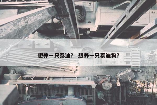 想养一只泰迪？ 想养一只泰迪狗？