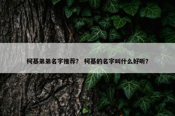柯基弟弟名字推荐？ 柯基的名字叫什么好听？
