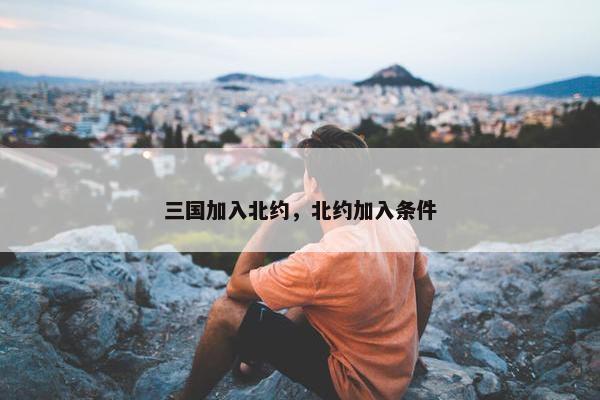 三国加入北约，北约加入条件