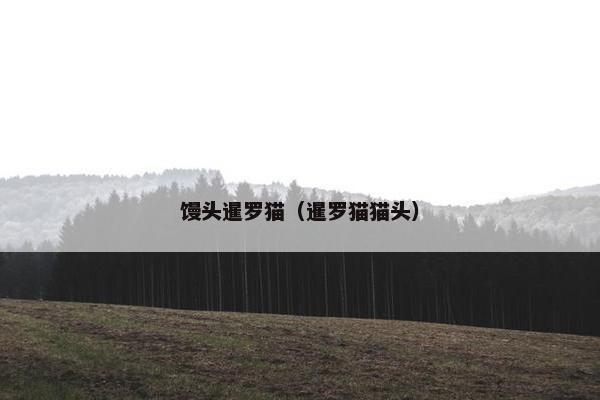 馒头暹罗猫（暹罗猫猫头）