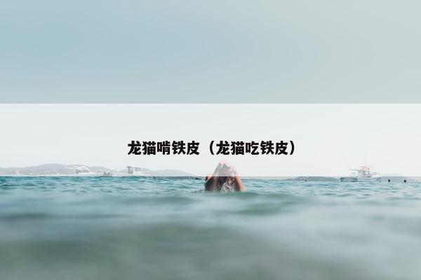 龙猫啃铁皮（龙猫吃铁皮）