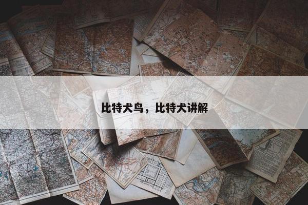 比特犬鸟，比特犬讲解