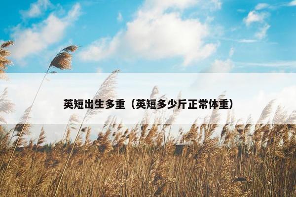 英短出生多重（英短多少斤正常体重）