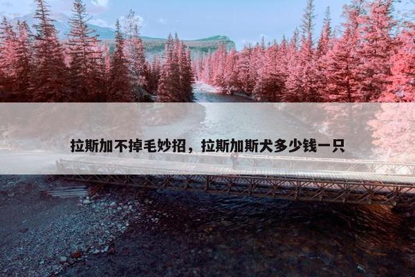 拉斯加不掉毛妙招，拉斯加斯犬多少钱一只