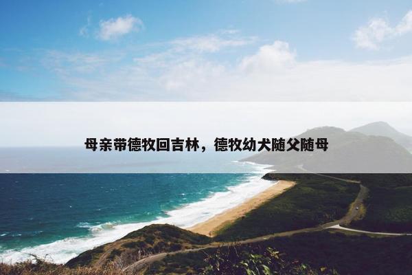 母亲带德牧回吉林，德牧幼犬随父随母