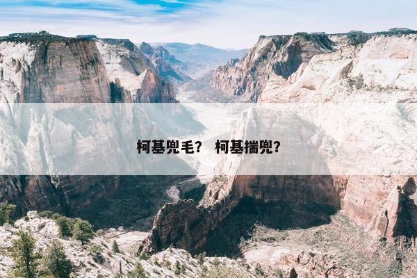 柯基兜毛？ 柯基揣兜？