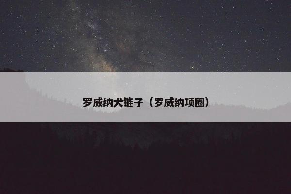 罗威纳犬链子（罗威纳项圈）