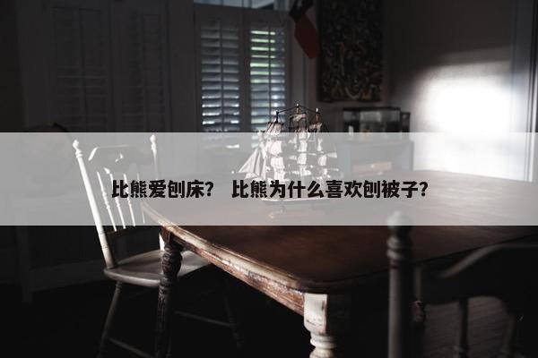比熊爱刨床？ 比熊为什么喜欢刨被子？
