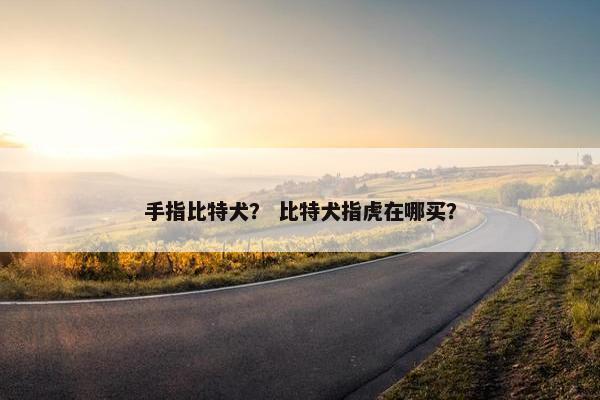手指比特犬？ 比特犬指虎在哪买？