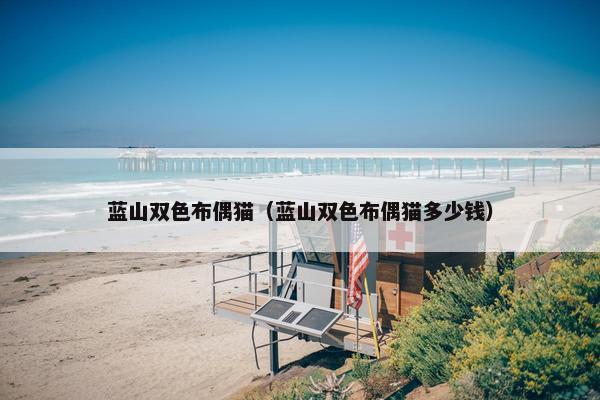 蓝山双色布偶猫（蓝山双色布偶猫多少钱）
