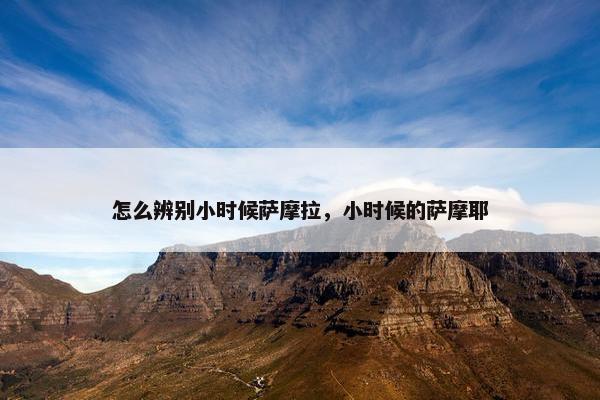 怎么辨别小时候萨摩拉，小时候的萨摩耶