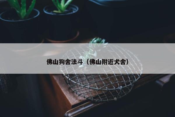 佛山狗舍法斗（佛山附近犬舍）