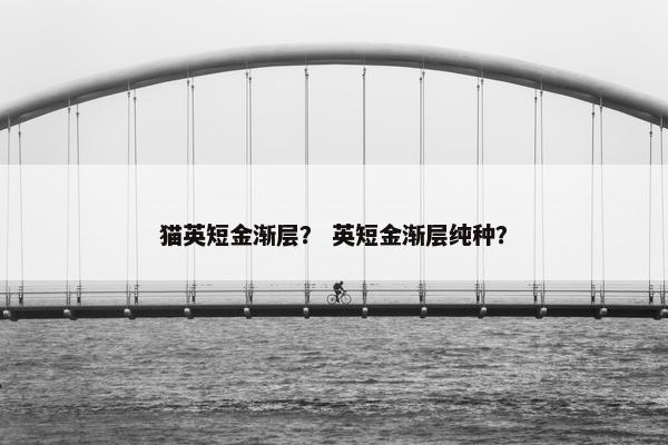 猫英短金渐层？ 英短金渐层纯种？