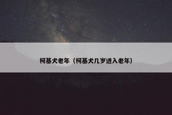 柯基犬老年（柯基犬几岁进入老年）