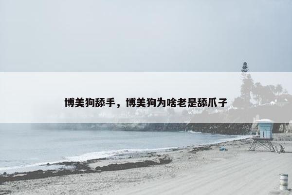 博美狗舔手，博美狗为啥老是舔爪子