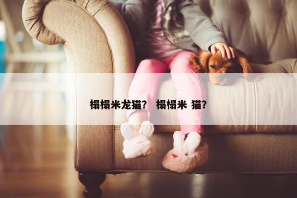 榻榻米龙猫？ 榻榻米 猫？