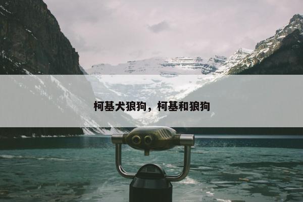 柯基犬狼狗，柯基和狼狗