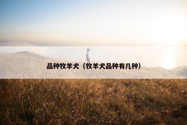 品种牧羊犬（牧羊犬品种有几种）