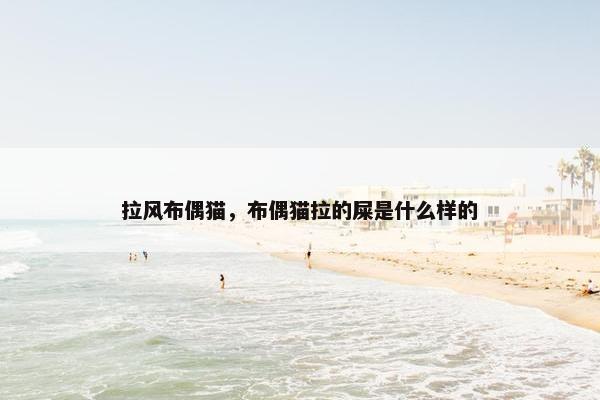 拉风布偶猫，布偶猫拉的屎是什么样的