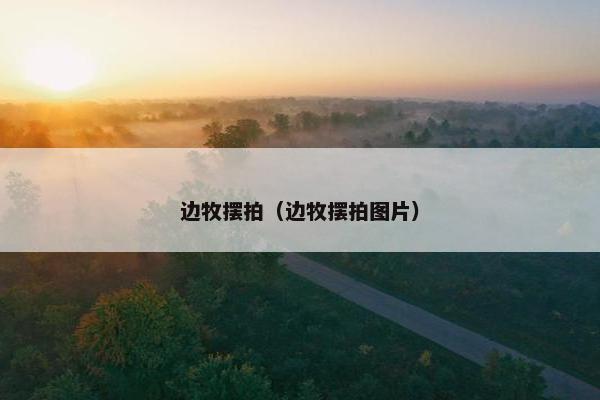 边牧摆拍（边牧摆拍图片）