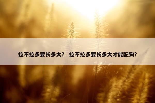 拉不拉多要长多大？ 拉不拉多要长多大才能配狗？