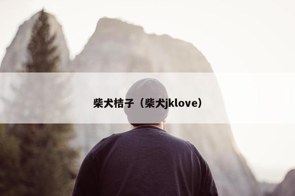 柴犬桔子（柴犬jklove）