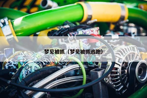 梦见被抓（梦见被抓逃跑）