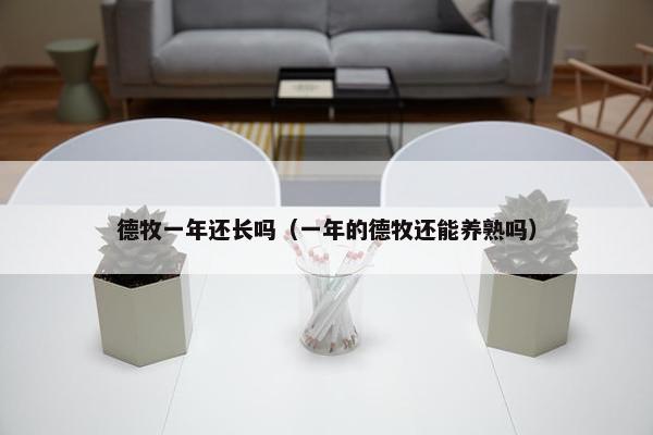 德牧一年还长吗（一年的德牧还能养熟吗）