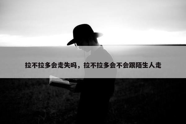 拉不拉多会走失吗，拉不拉多会不会跟陌生人走