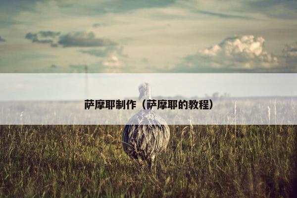 萨摩耶制作（萨摩耶的教程）
