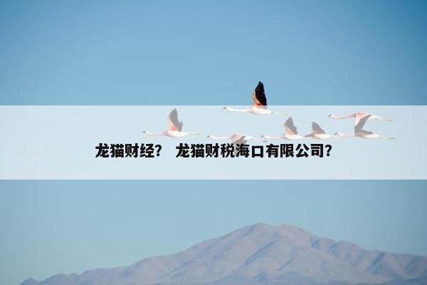 龙猫财经？ 龙猫财税海口有限公司？