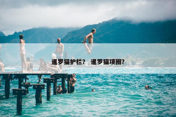 暹罗猫护栏？ 暹罗猫项圈？