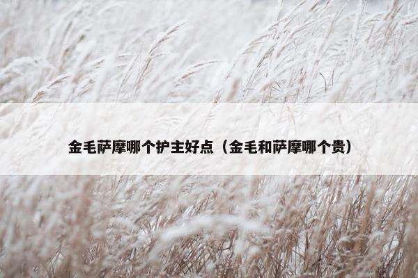 金毛萨摩哪个护主好点（金毛和萨摩哪个贵）