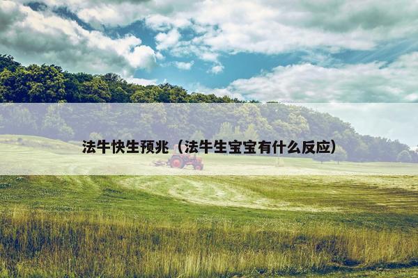 法牛快生预兆（法牛生宝宝有什么反应）