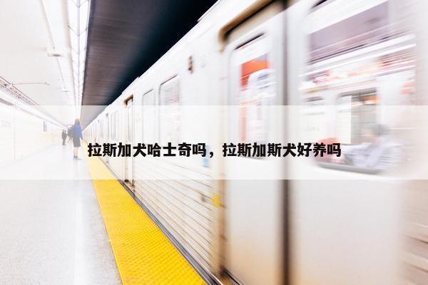 拉斯加犬哈士奇吗，拉斯加斯犬好养吗