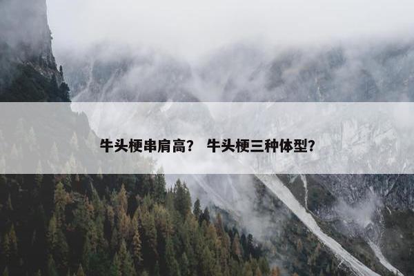 牛头梗串肩高？ 牛头梗三种体型？