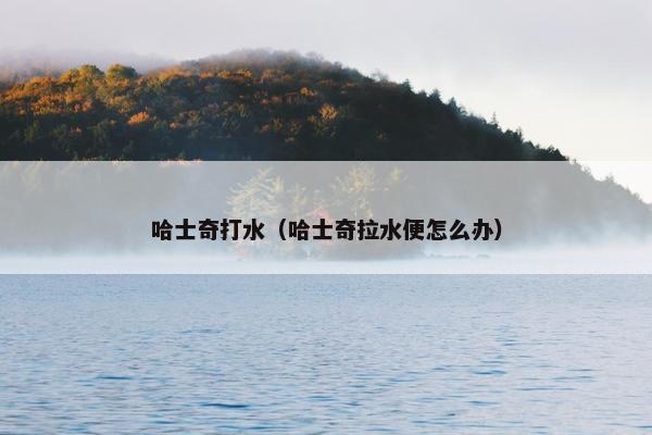 哈士奇打水（哈士奇拉水便怎么办）