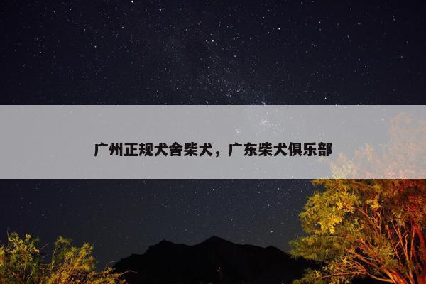 广州正规犬舍柴犬，广东柴犬俱乐部