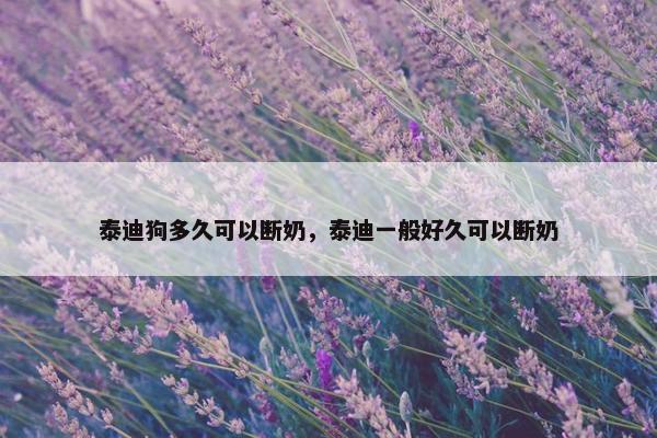 泰迪狗多久可以断奶，泰迪一般好久可以断奶
