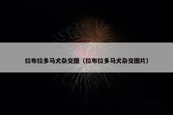 拉布拉多马犬杂交图（拉布拉多马犬杂交图片）