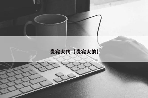 贵宾犬狗（贵宾犬的）